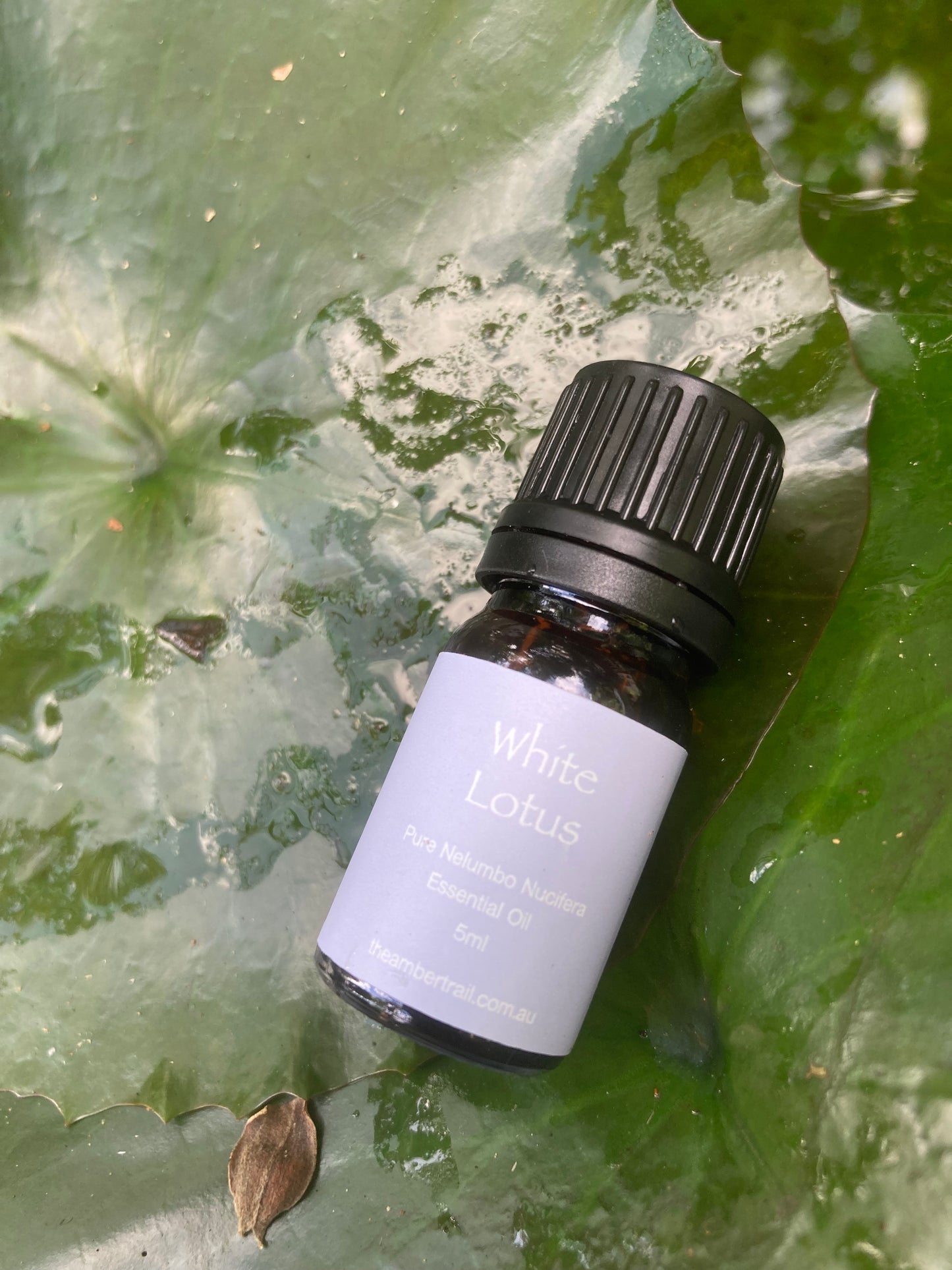 White Lotus Essential Oil - 5ml