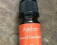 Amber Resinoid Essential Oil - The Amber Trail