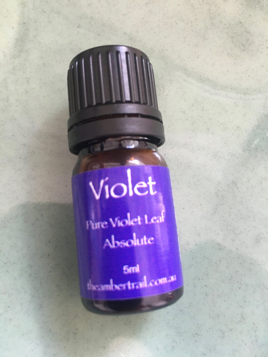 Violet Essential Oil - The Amber Trail